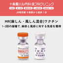 MMR vaccine (measles, mumps, and rubella)